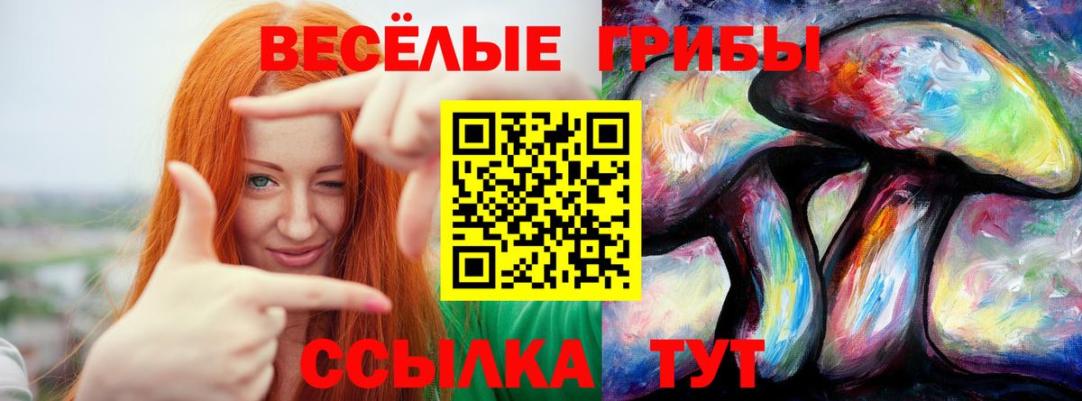 Галлюциногенные грибы GOLDEN TEACHER Йошкар-Ола