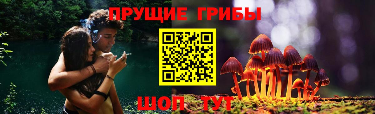 Псилоцибиновые грибы ЛСД  Псилоцибиновые грибы прущие грибы  Вход с VPN  Йошкар-Ола 